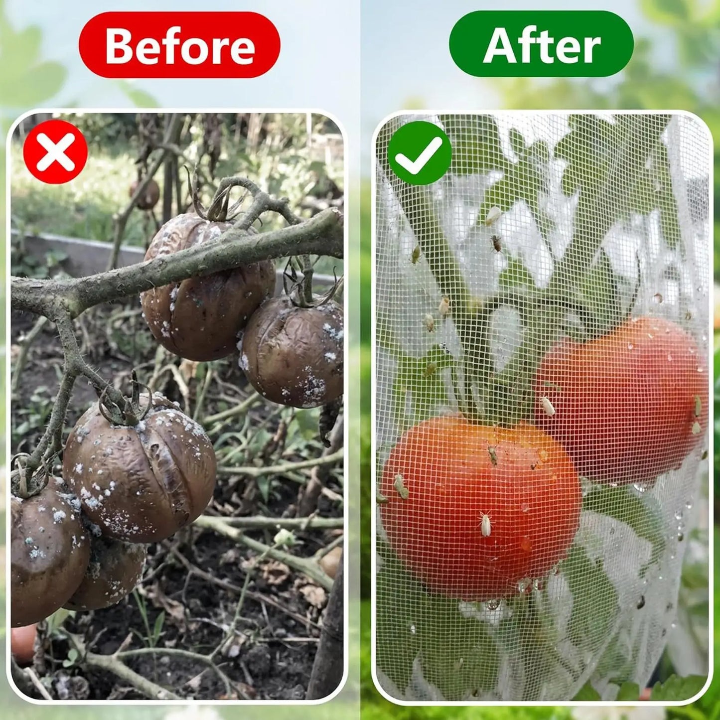 Tomato Netting 2 Pieces Square Vertical Mesh With Zipper Tomato Plant Covers For Vegetable Fruit Strawberry Blueberry Cucumber Peaceful Pleasures Health and Wellness