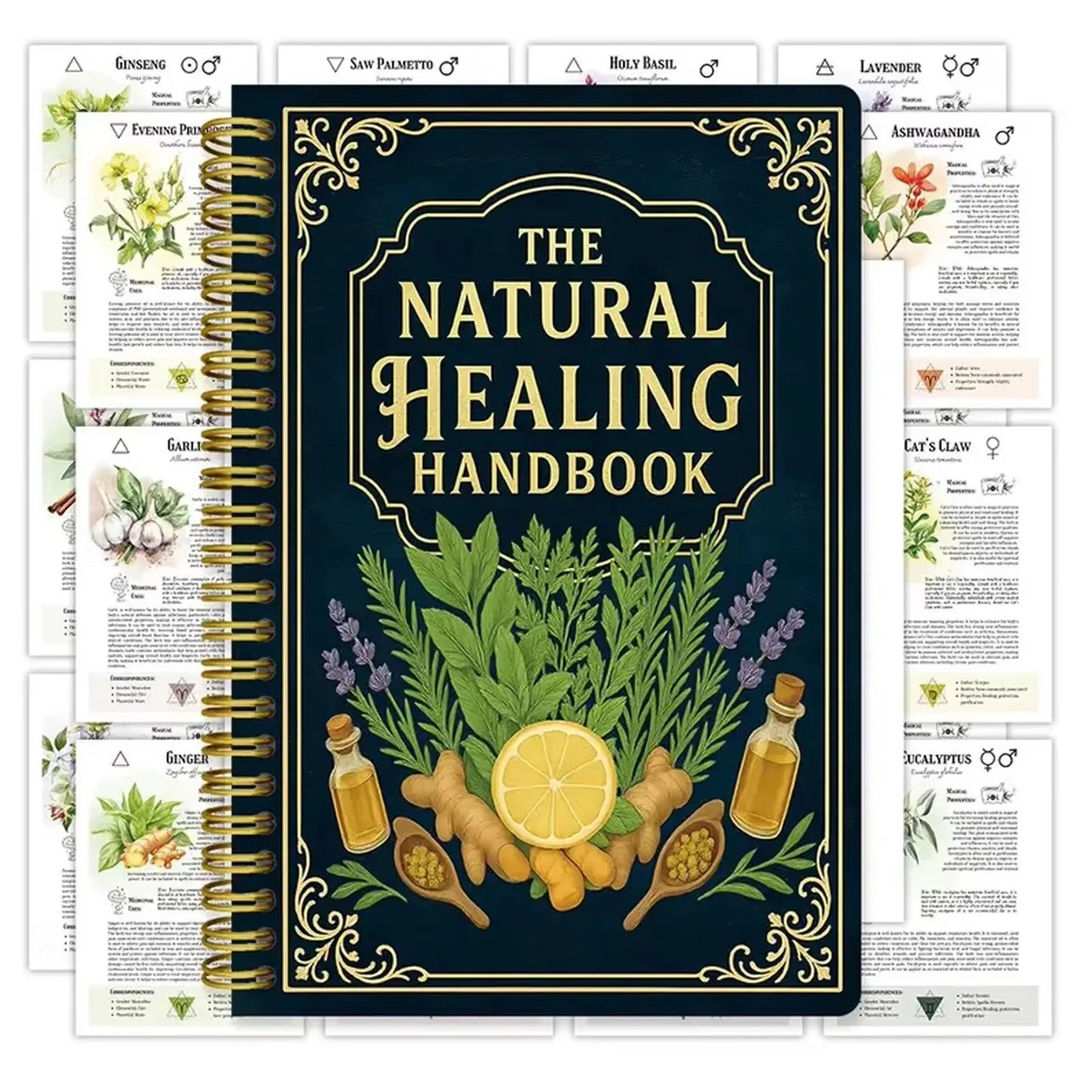 Natural Healing Handbook Luna Filby English Edition Health Guide