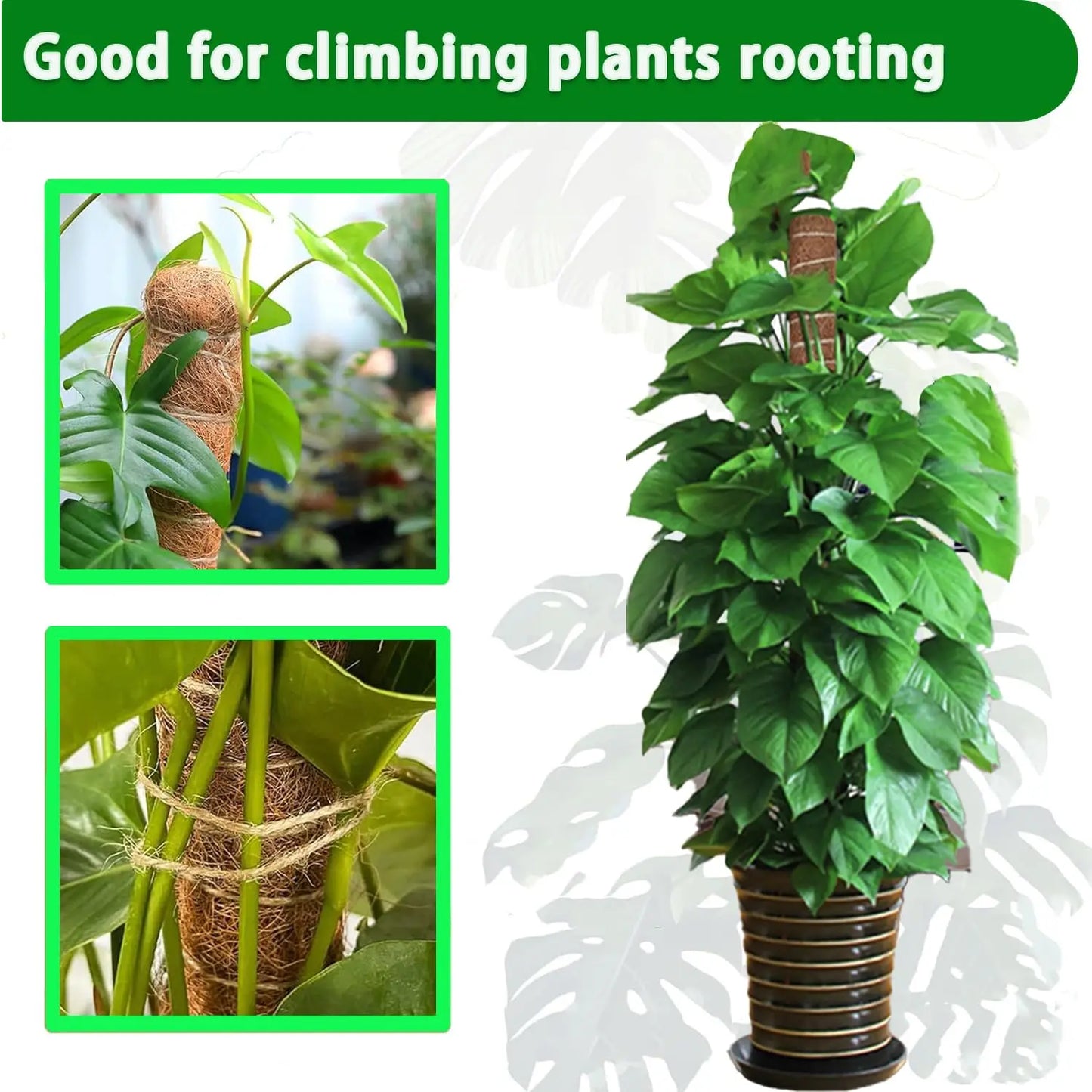 Stackable Moss Poles for Monstera & Climbing Plants (4/8 Pack)