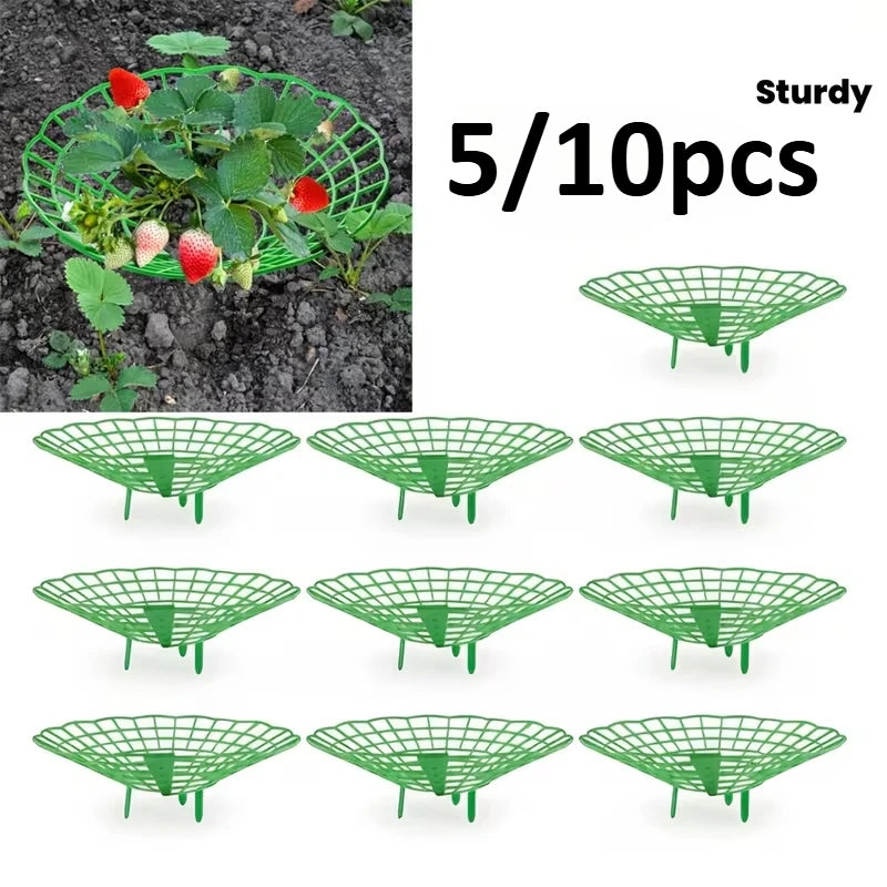 Strawberry & Watermelon Plant Support Frames – 5/10 Pack