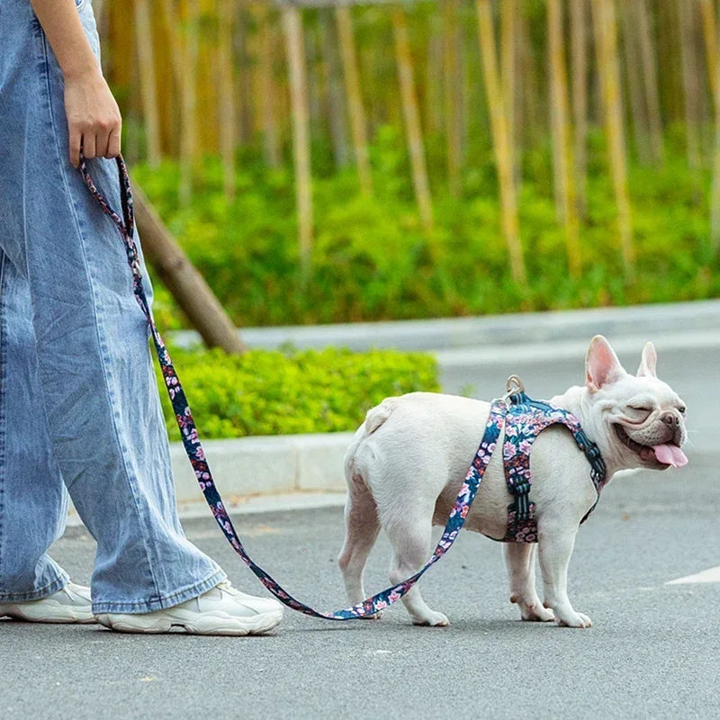 Truelove Floral Pet Leash Neoprene Padded Handle Extra Traffic Control Dog and Cat Strong Enough and Easy to Use Travel TLL3112 Peaceful Pleasures Health and Wellness