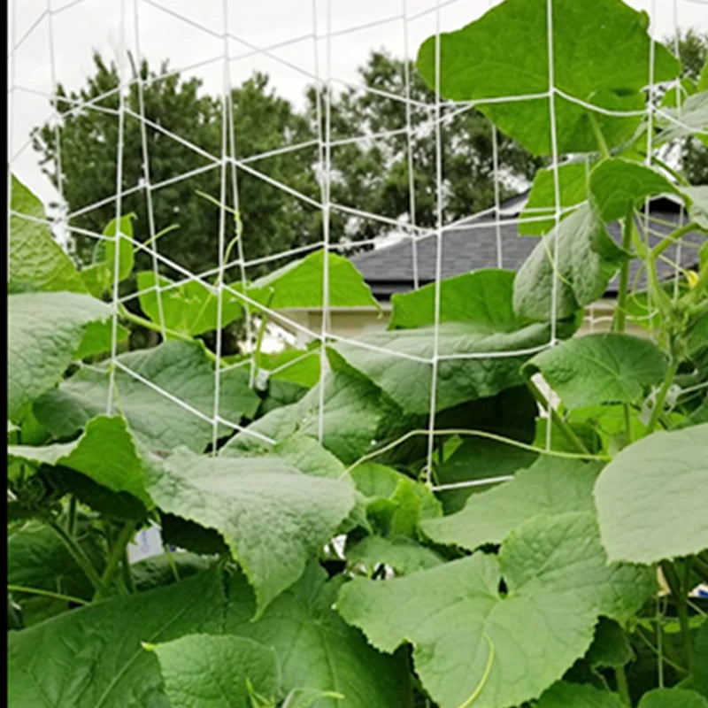 Garden Plant Trellis Netting – Square Mesh for Climbing Plants Plant Trellis Netting Peaceful Pleasures Health and Wellness