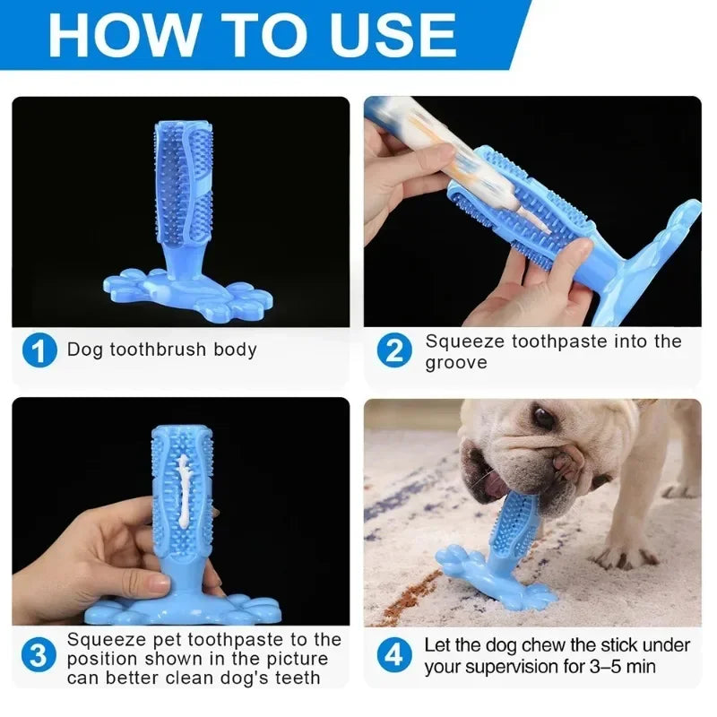 Cactus Dog Chew Toy | Rubber Treat Dispenser & Teeth Cleaner Dog Chew Toy Peaceful Pleasures Health and Wellness
