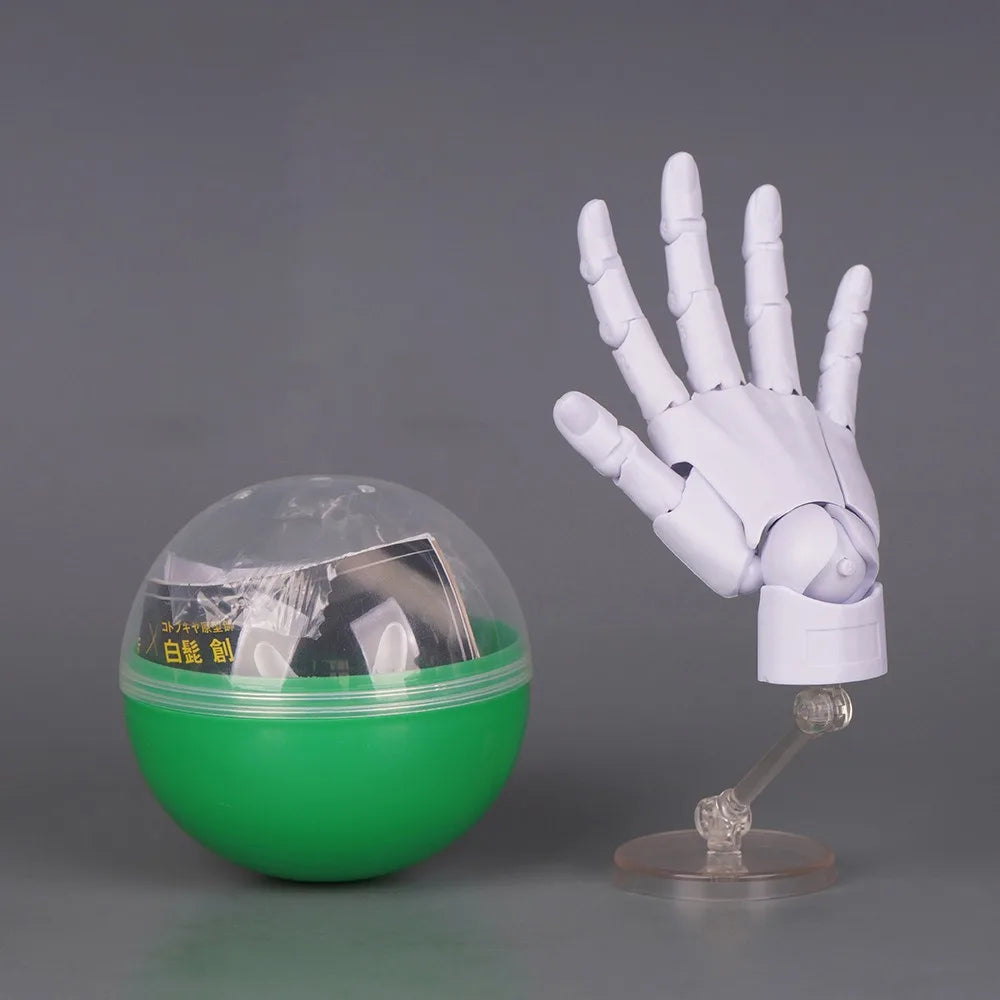 1:2 Scale Articulated Hand Model – Posable Fingers for Artists