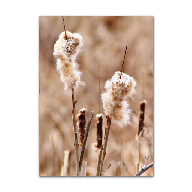 Nordic Canvas Wall Art – Lake Dandelion & Reed Print Canvas Wall Print Peaceful Pleasures Health and Wellness 06 40x60cm Unframed