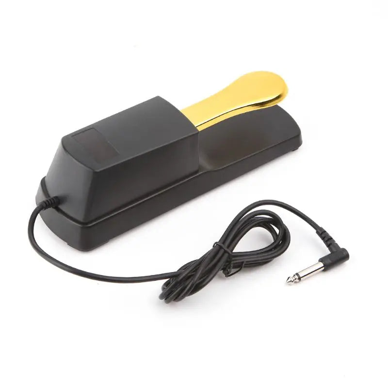 Piano Sustain Pedal Damper Roland Electric Keyboard Electronic