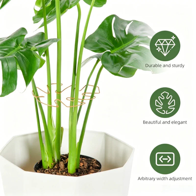 No-Nail Plant Stem Support Clips – Vine & Monstera Stabilizer