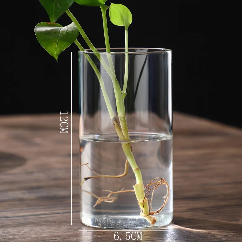 Transparent Glass Hydroponic Vase Modern Small Cylinder Flower Centerpiece Vases Use For Floral Wedding Home Decoration Peaceful Pleasures Health and Wellness 6.5x12cm