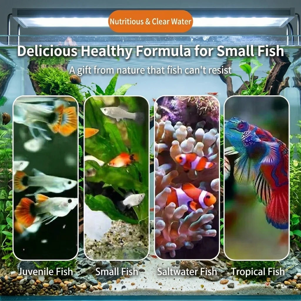 Decapsulated Brine Shrimp Eggs & Fish Fry Feeder Kit | 50g