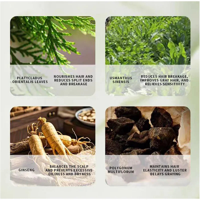 Arborvitae Leaf Shampoo Soap Handmade Natural Herbal Scalp Itching Relief Promote Hair Growth Prevent Hair Loss And DandruffSoap Peaceful Pleasures Health and Wellness