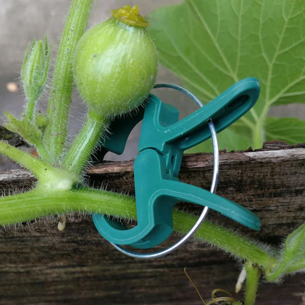 Plant Support Clips – Reusable Vine & Branch Clamping Stakes