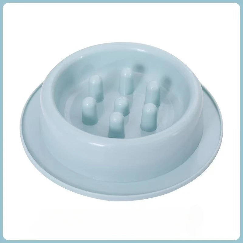Elevated Anti-Knock Cat & Dog Bowl | High Foot Pet Feeder