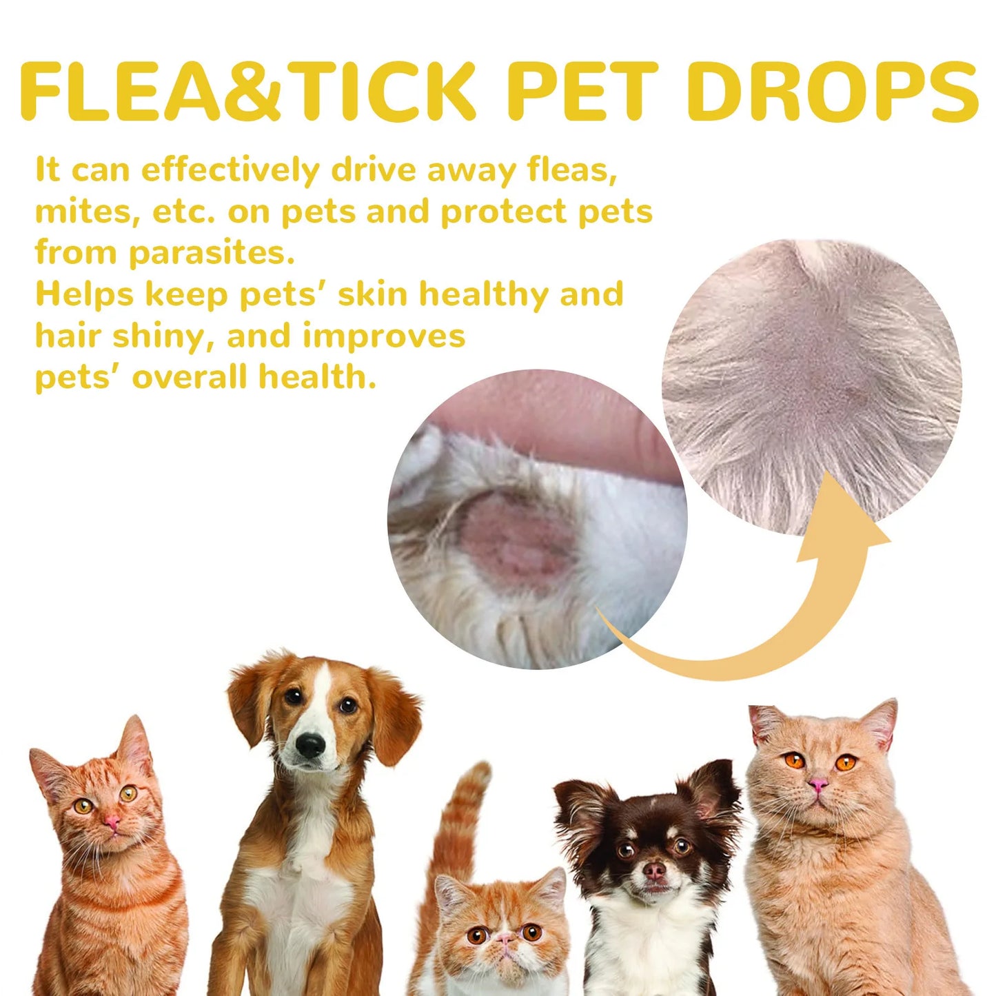 Yegbong Flea Tick Mite Repellent Drops for Dogs & Cats