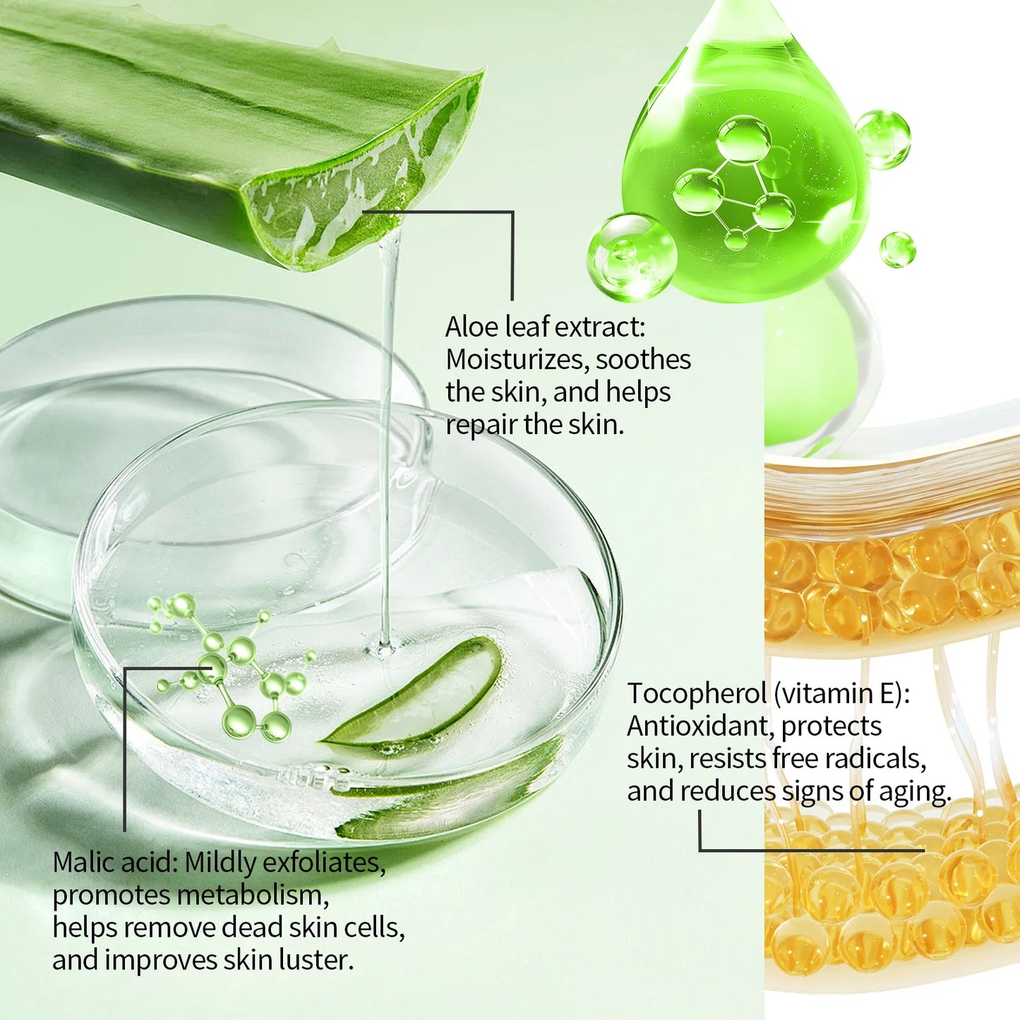 EELHOE Aloe Vera Toner for Face Moisturizing and Exfoliating Peaceful Pleasures Health and Wellness