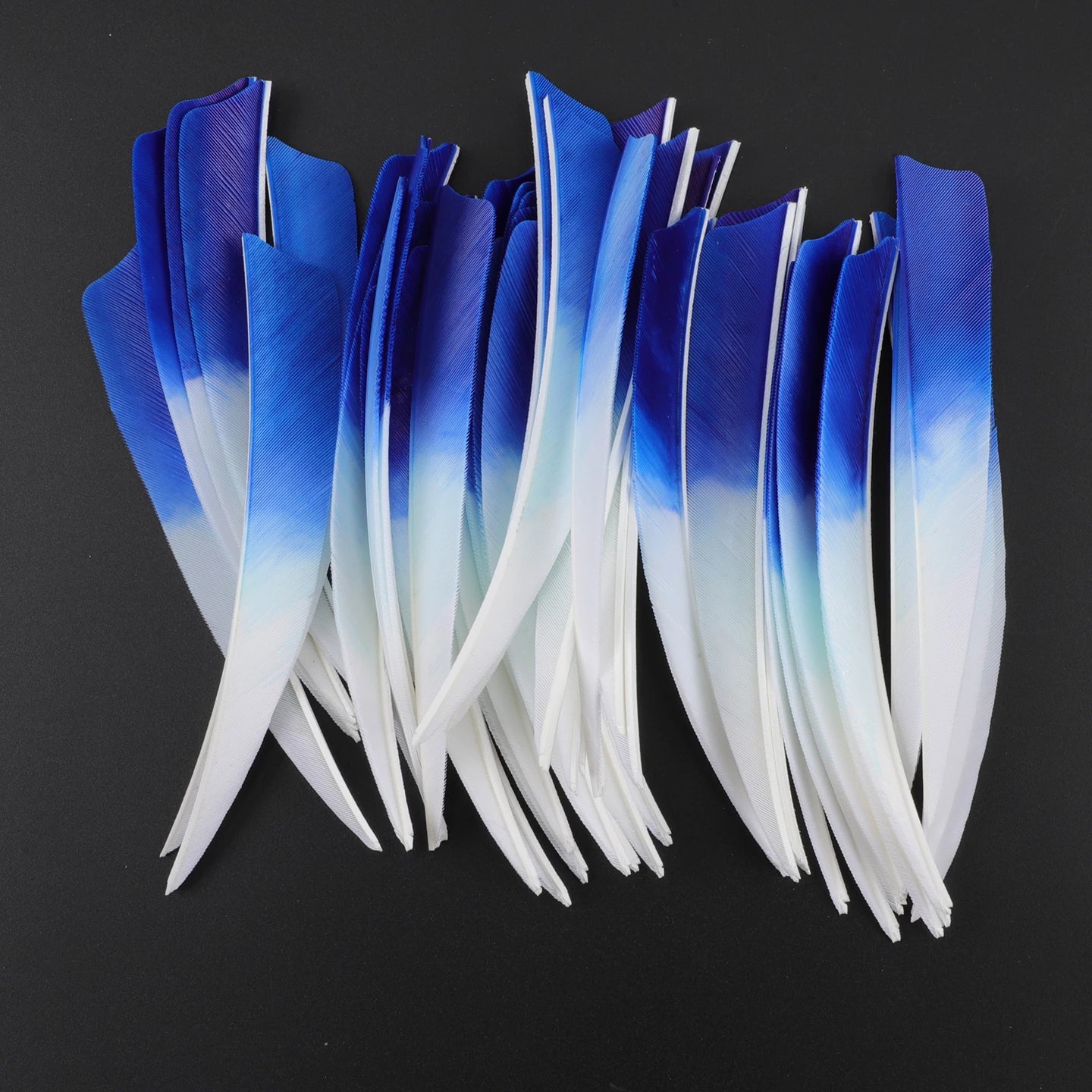 Archery 3 Natural Gradient Shield Turkey Feather Right Wing Arrow