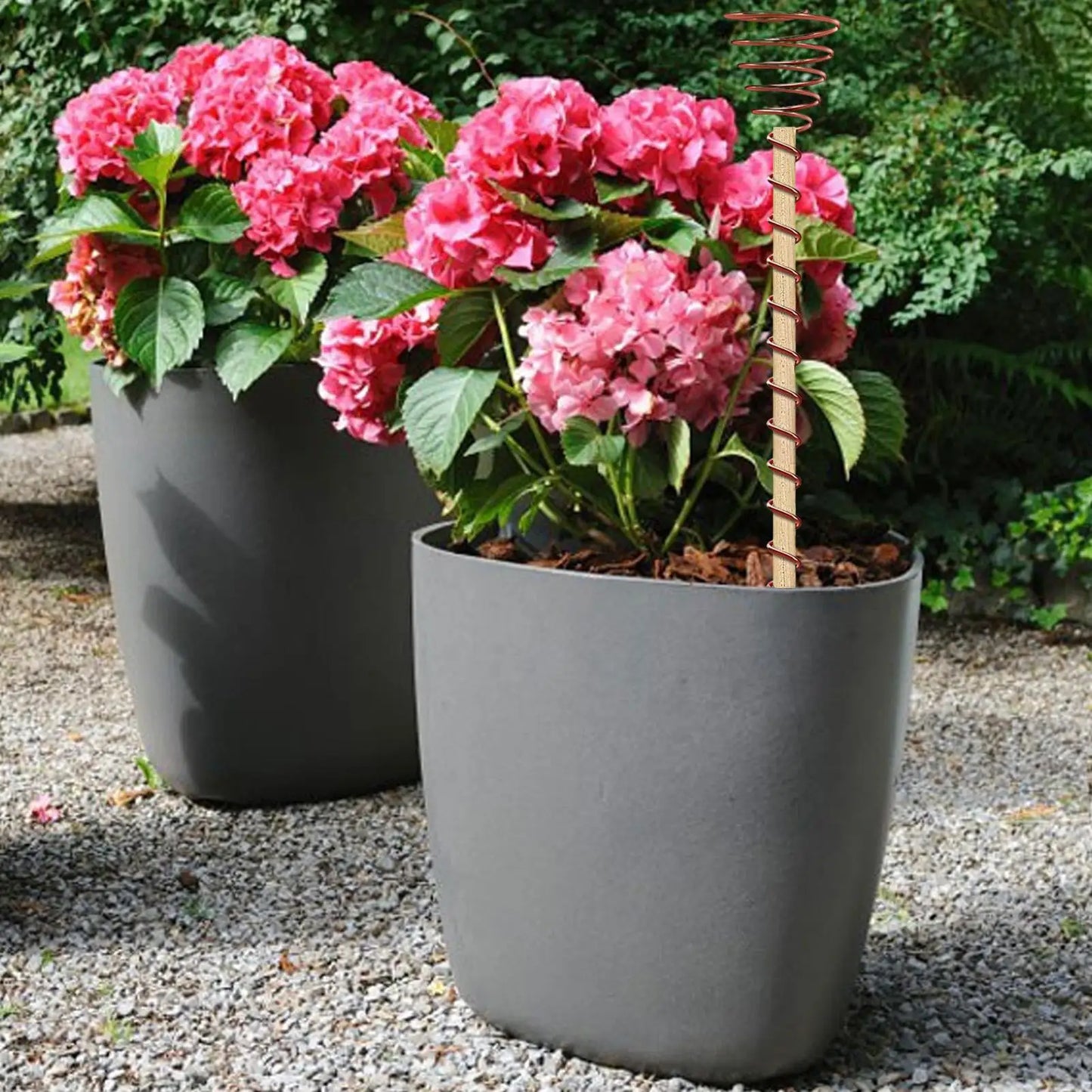 6-Pack Copper Coil Electroculture Plant Stakes | Garden Support