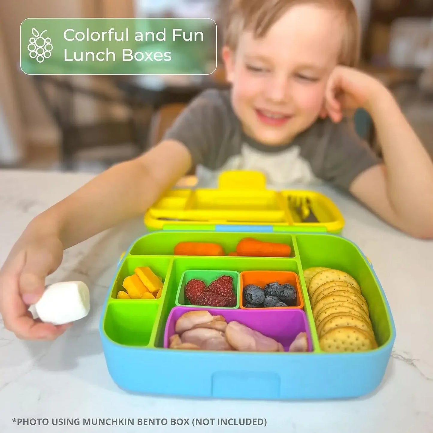 Reusable Silicone Bento Box Divider Cups – 1-6 Pack