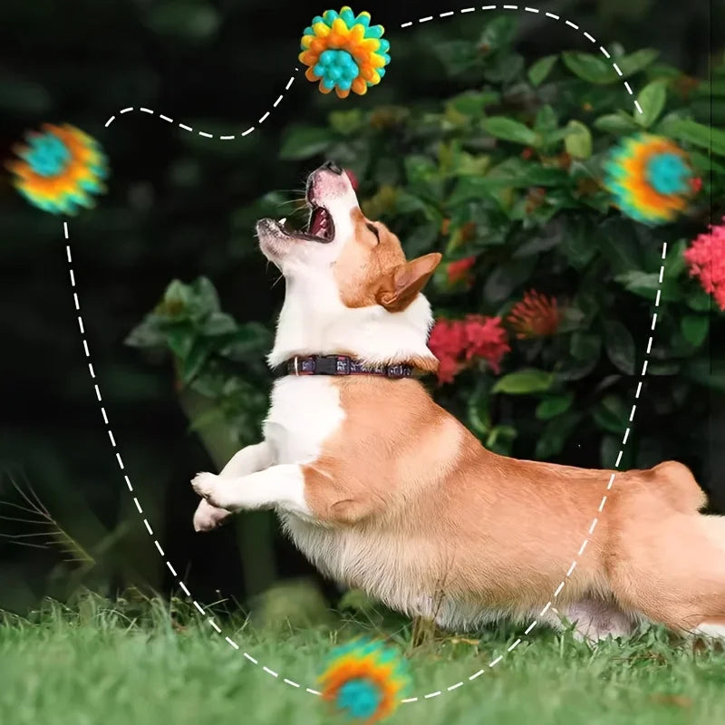 TPR Dog Chew Ball Toy – Bite-Resistant for Small & Medium Dogs