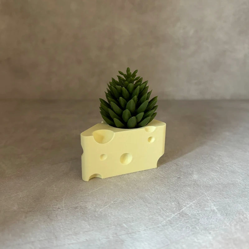 Mini Cheese Succulent Pots Set of 2 | Cute Desktop Plant Decor