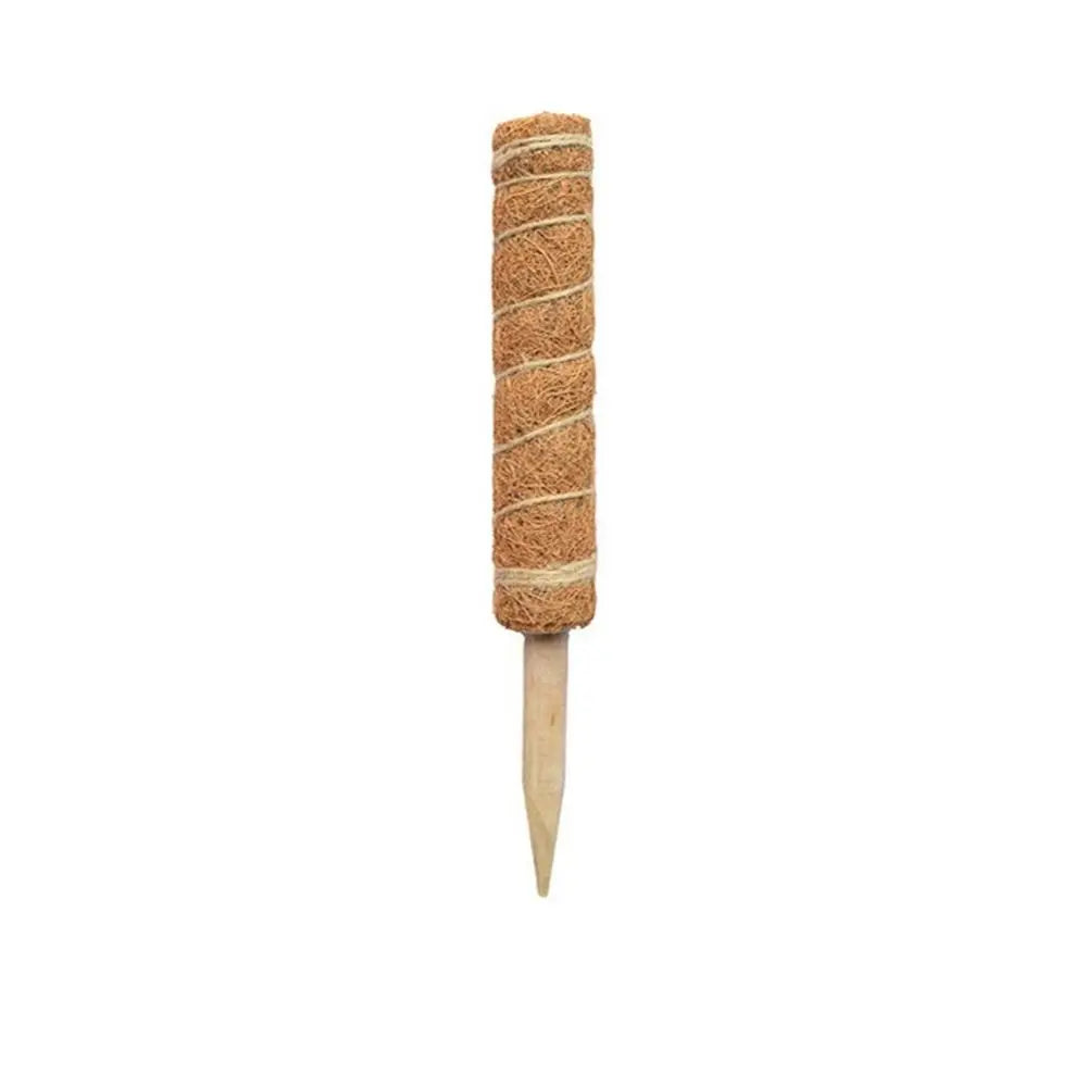 Stackable Coir Moss Pole 30/40/50cm | Plant Climbing Support
