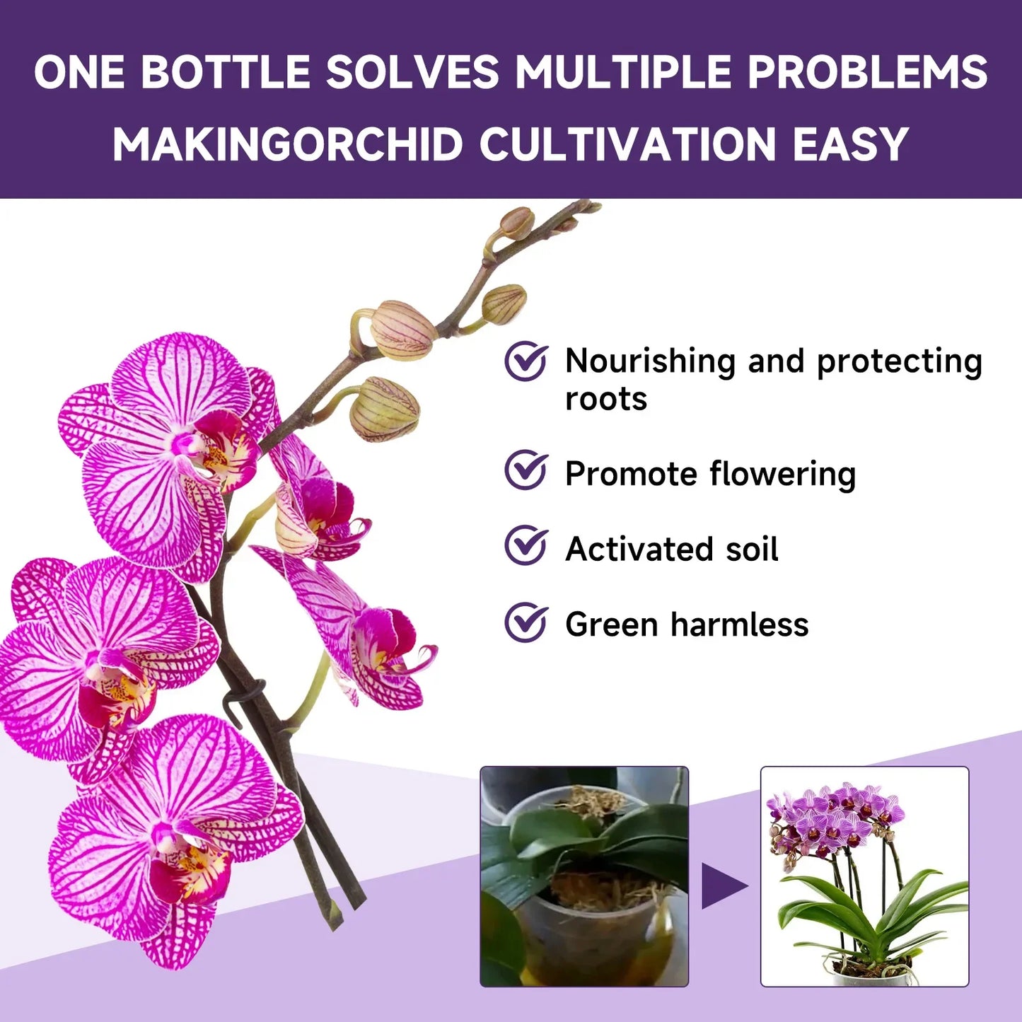 Orchid Liquid Fertilizer 50ml | Fast-Absorbing Plant Nutrient