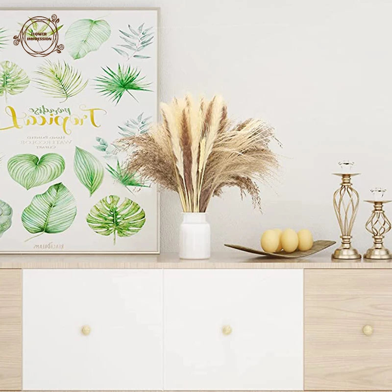 Natural Dried Pampas Grass Bunny Tails Bouquet | Boho Decor