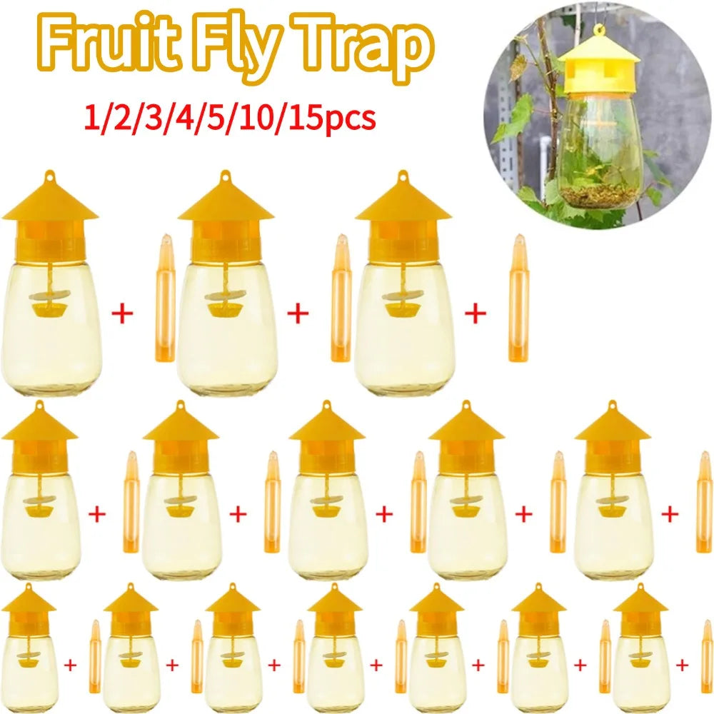 Fruit Fly Insect Trap for Orchard and Garden Use Peaceful Pleasures Health and Wellness