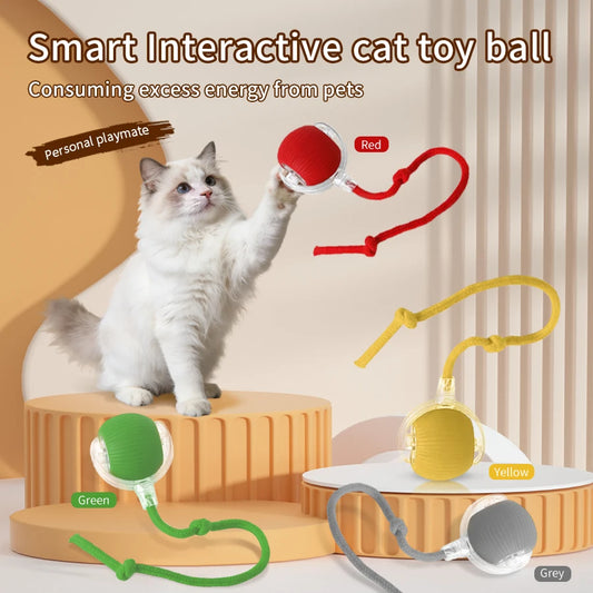 Smart Cat Toys Automatic Rolling Ball Fake Tail Rechargeable Electric Pet Interactive Toy Dog Cat Training Imitate Mouse Tail Peaceful Pleasures Health and Wellness