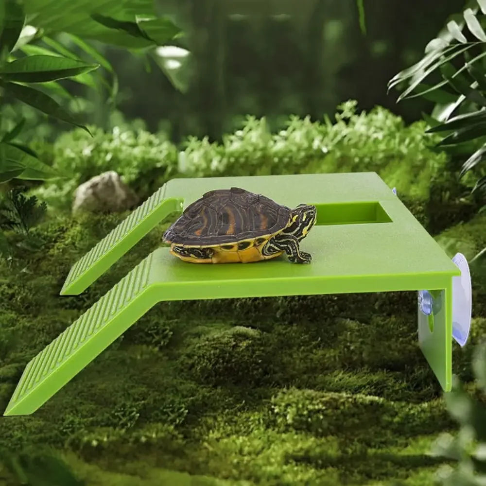 Floating Turtle Basking Platform | Aquatic Turtle Climbing Terrace
