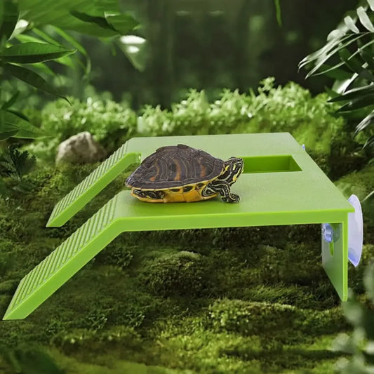 Floating Turtle Basking Platform | Aquatic Turtle Climbing Terrace Turtle Basking Platform Peaceful Pleasures Health and Wellness