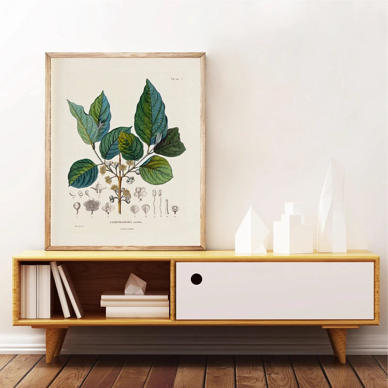 Botanical Studies Vintage Posters and Prints Antique French Plant Illustrations Canvas Painting Botany Wall Art Pictures Deco Peaceful Pleasures Health and Wellness