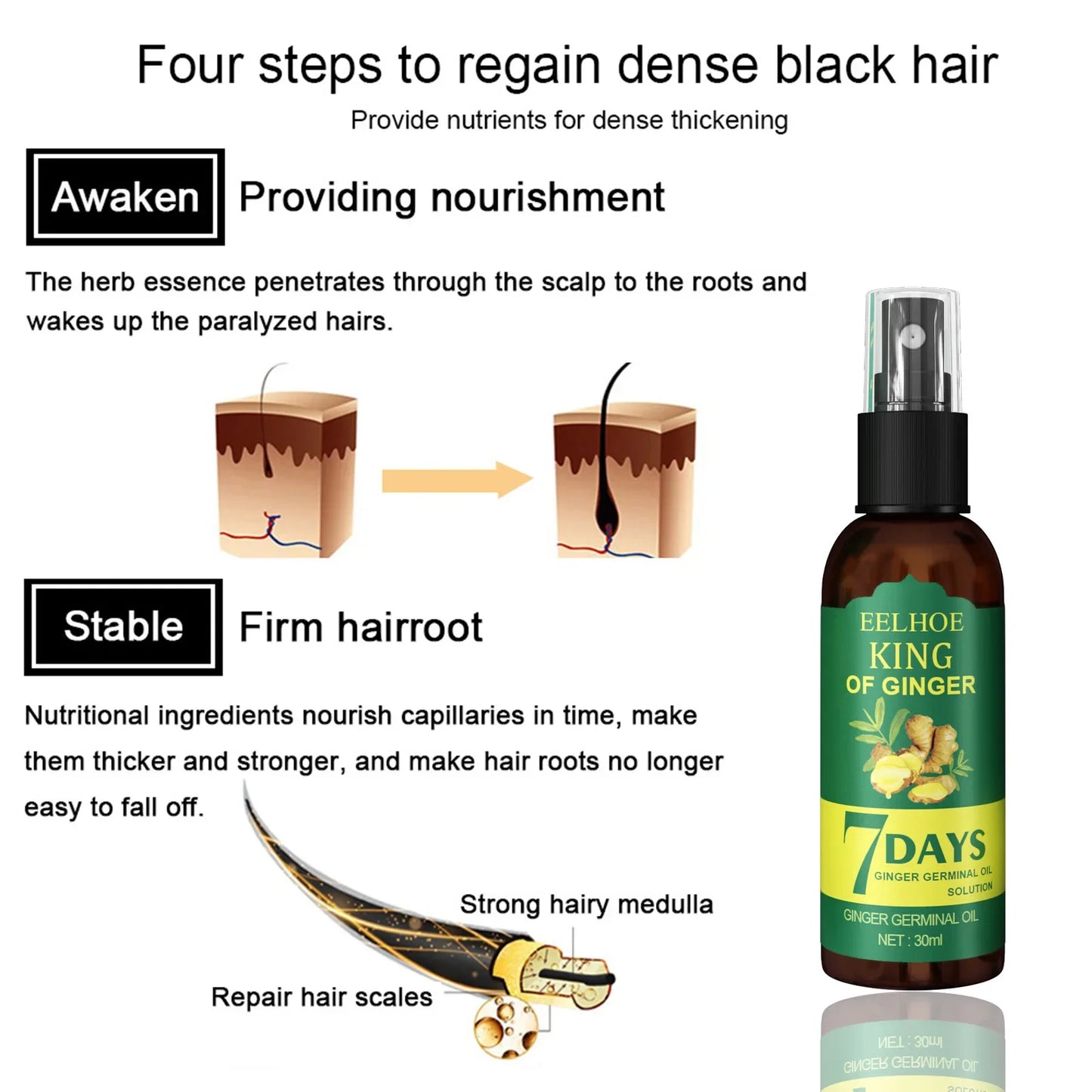 EELHOE Ginger Hair Growth Spray – 7-Day Scalp Serum 50ml