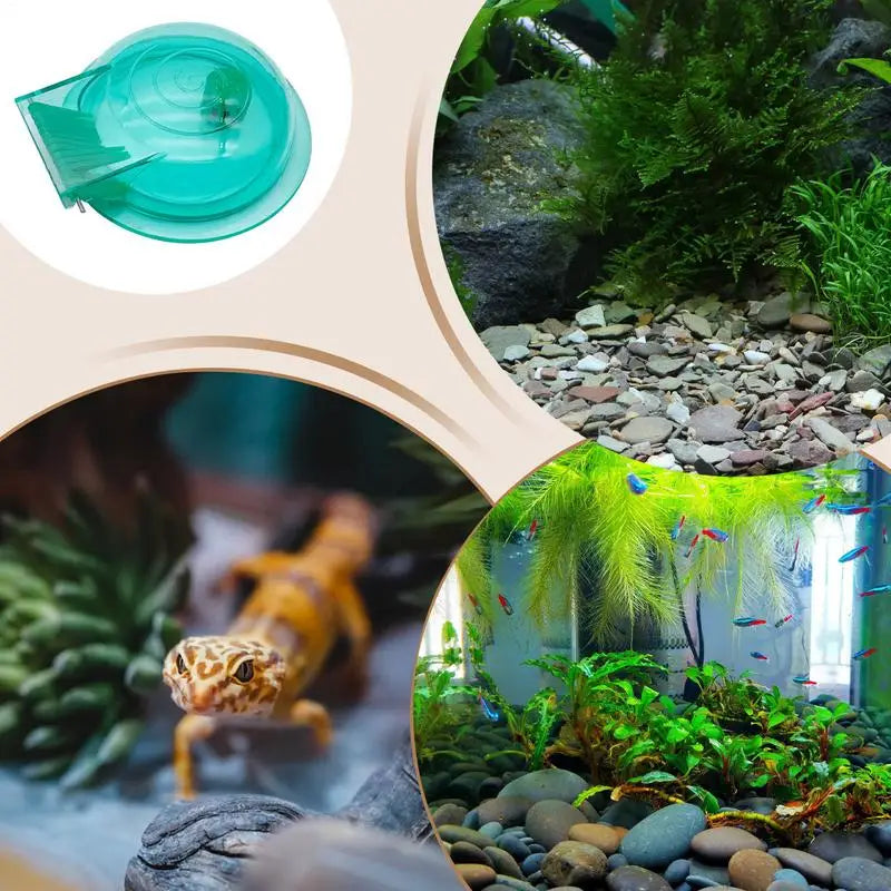 Aquarium Snail Remover Cleaning Supplies Planaria Catcher Water Grass Snail Catcher Clean Accessories Aquarium Cleaning Supplies Peaceful Pleasures Health and Wellness