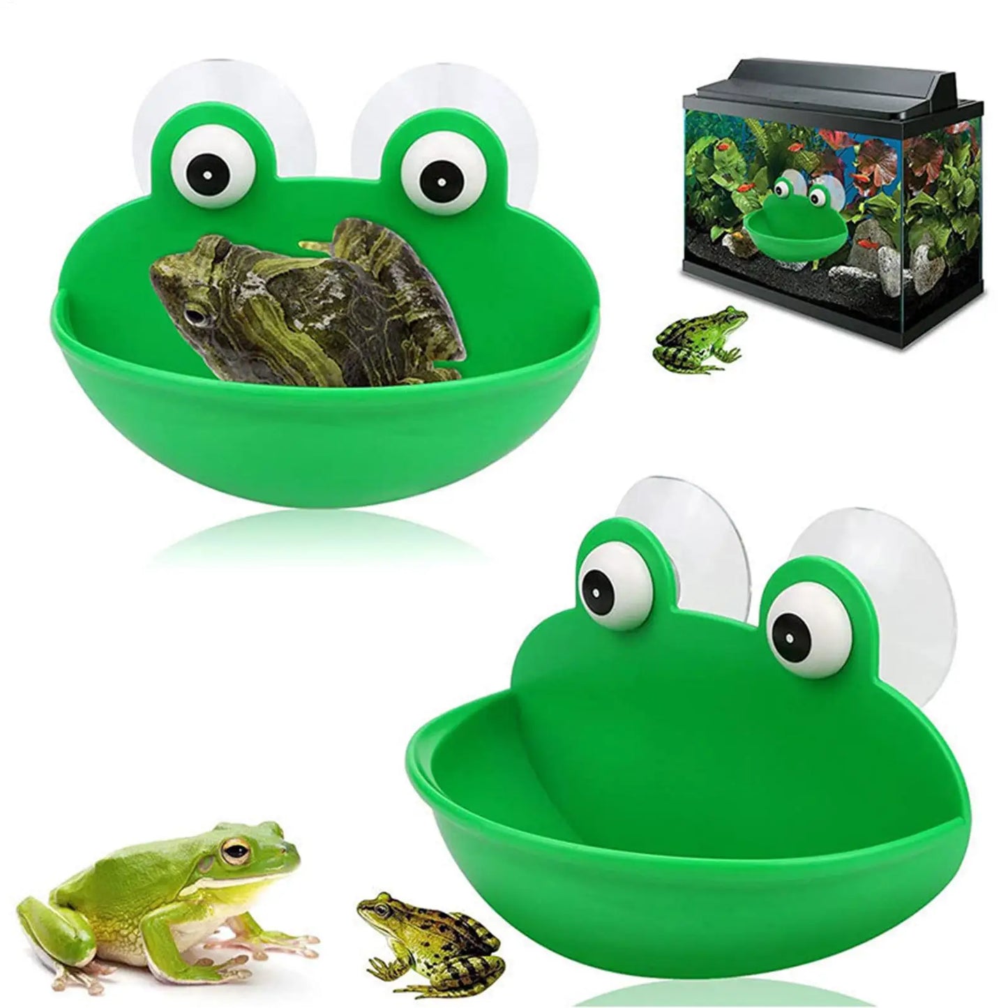 Frog Habitat Suction Cup Basking Platform | Reptile Tank Decor