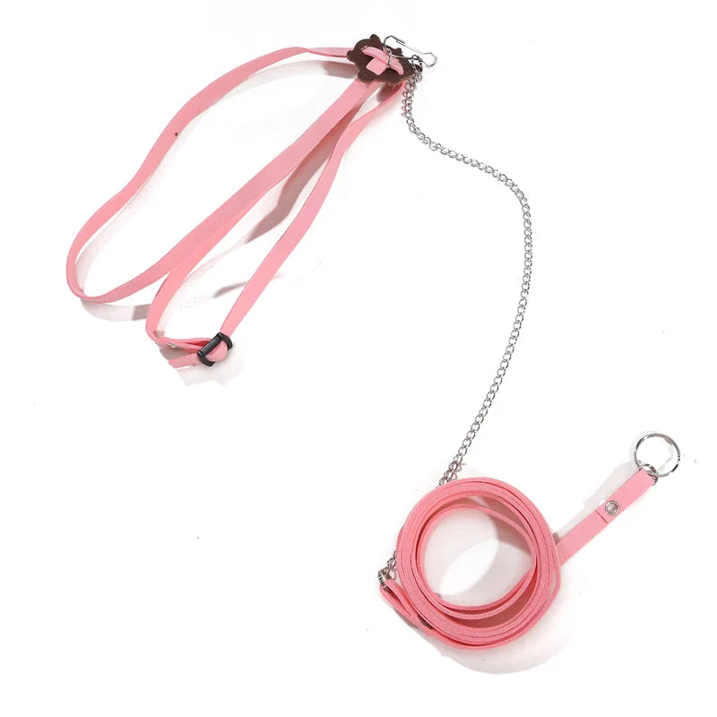 Pet Turtle Leash & Harness – Outdoor Training Traction Belt