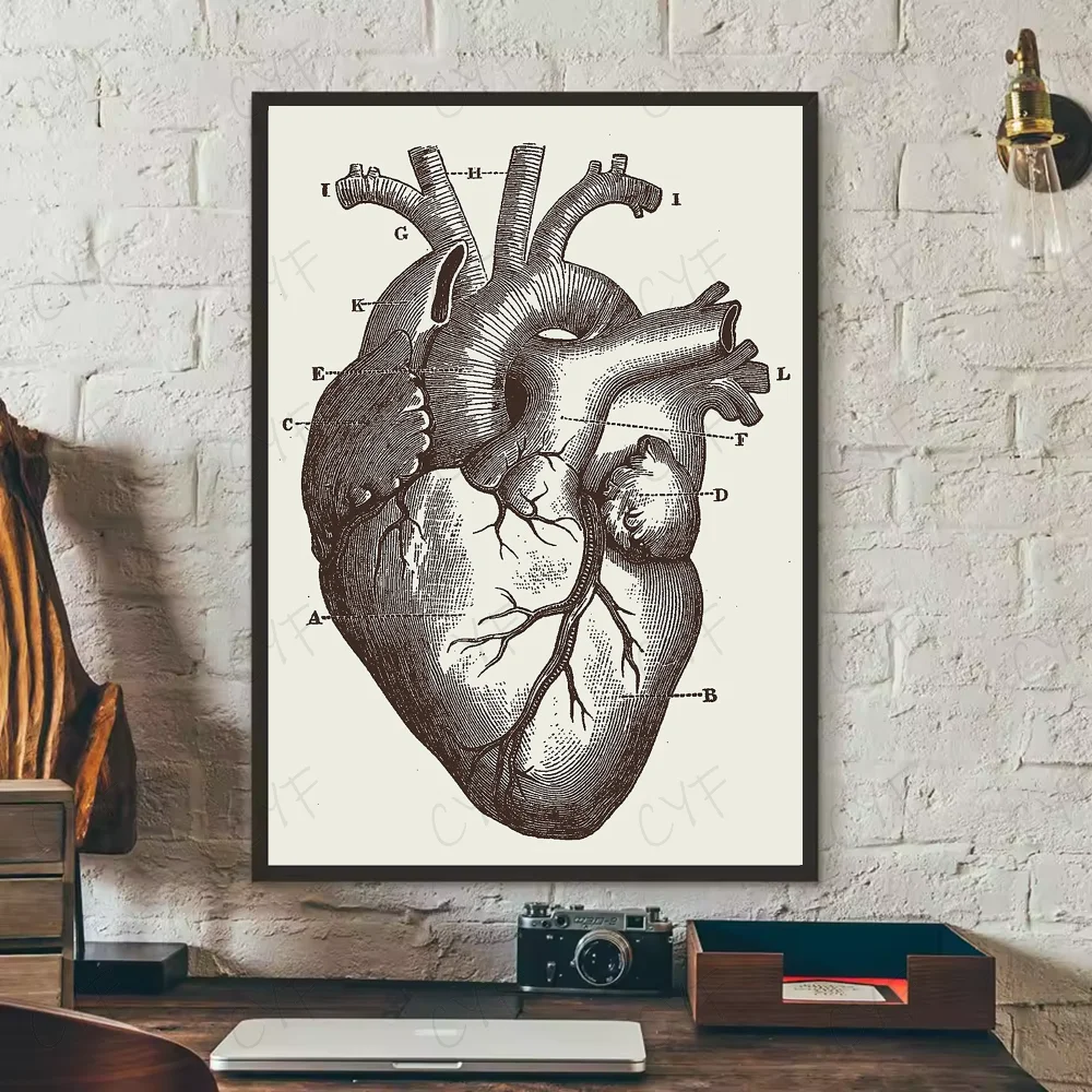 Human Anatomy Muscle System Poster HD art sticky wall waterproof home living room bedroom bar aesthetic decoration Peaceful Pleasures Health and Wellness z8 21X30cmNoframe