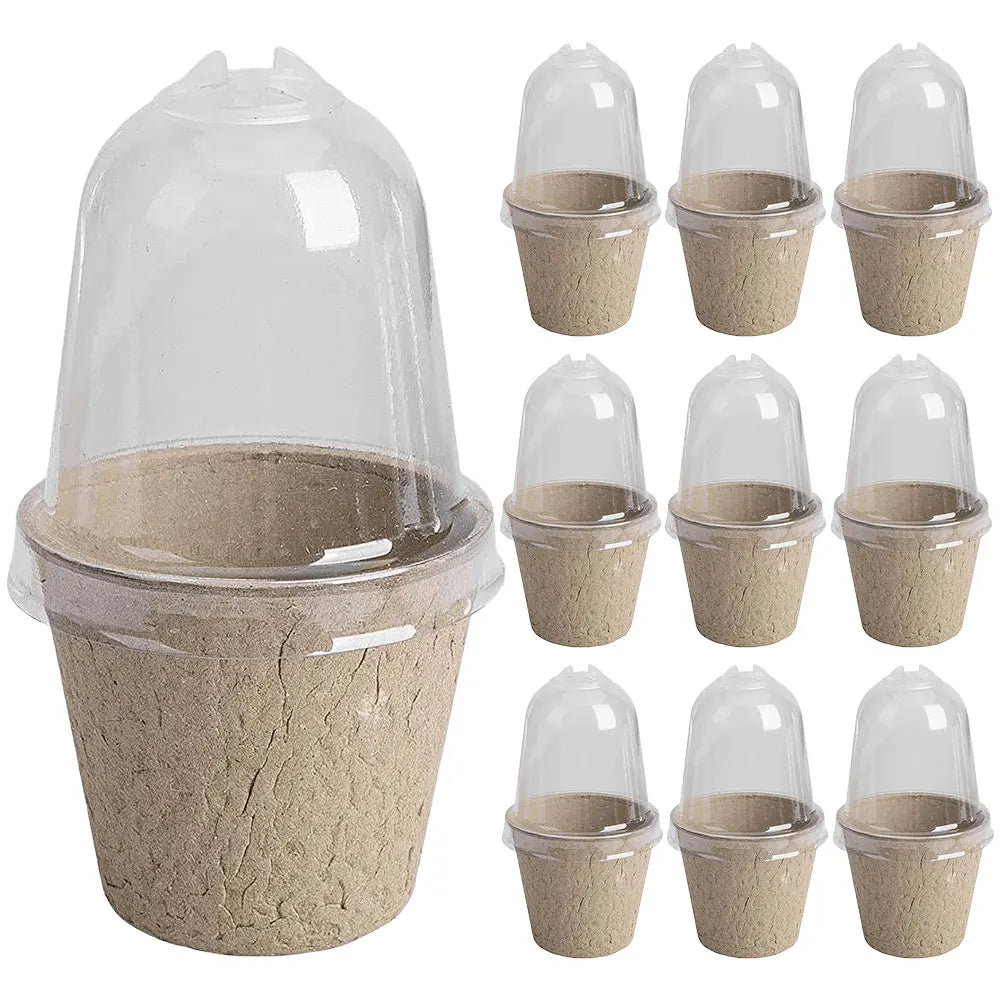 10Pcs Seedling Cup Seedling Pot Transparent Lid Greenhouse Breeding Box Biodegradable Plant Growing Cup Versatile for Gardening Peaceful Pleasures Health and Wellness 6cm No Holes