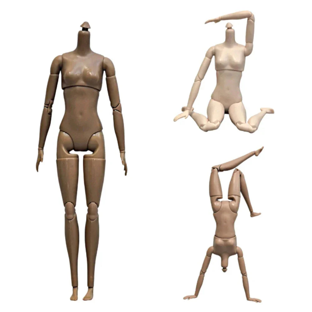 26cm 1/6 Scale BJD Doll, Super Flexible Female Action Figure with 22 Movable Joints, Nude Body Model for BJD Display Parts Peaceful Pleasures Health and Wellness