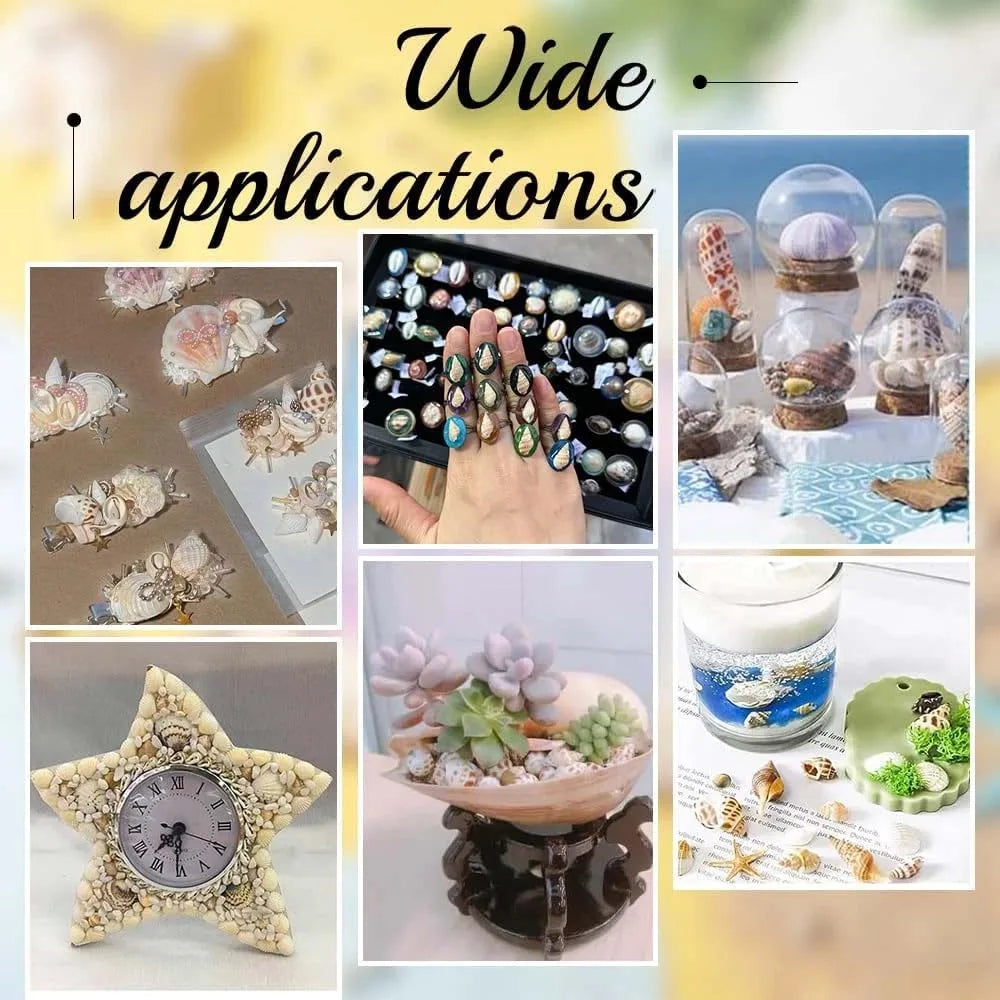 Tiny Sea Shells Box – Candle, Jewelry & Aquarium Crafts