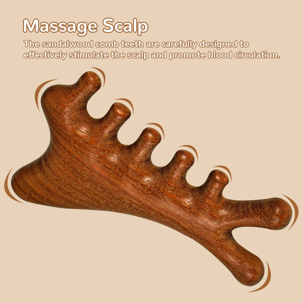 Natural Sandalwood Wide Tooth Massage Comb Set – Anti-Static