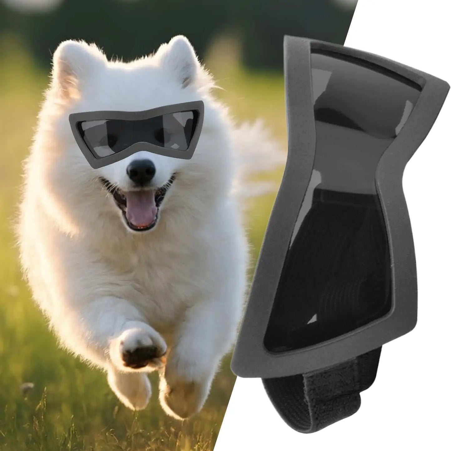 Dog Sunglasses UV Protection – Windproof Eyewear Small Breeds