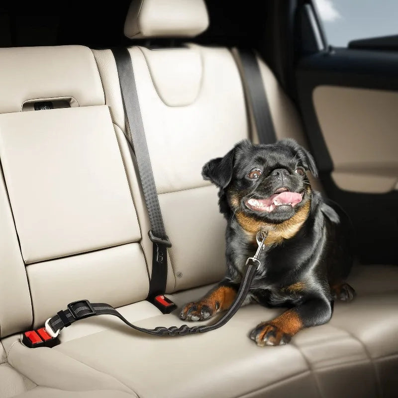 Dog Car Harness Set | Retractable Seatbelt Tether & Folding Bowl