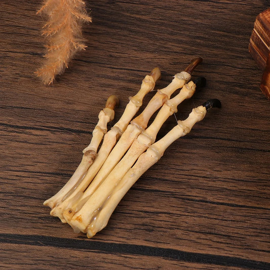 Paw Bone Skeleton Specimen | Plastic Taxidermy Science Decor Skeleton Specimen Replica Peaceful Pleasures Health and Wellness