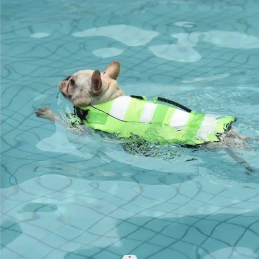 Reflective Dog Life Jacket | Adjustable Buoyancy Swim Vest Dog Life Jacket Oasis Select