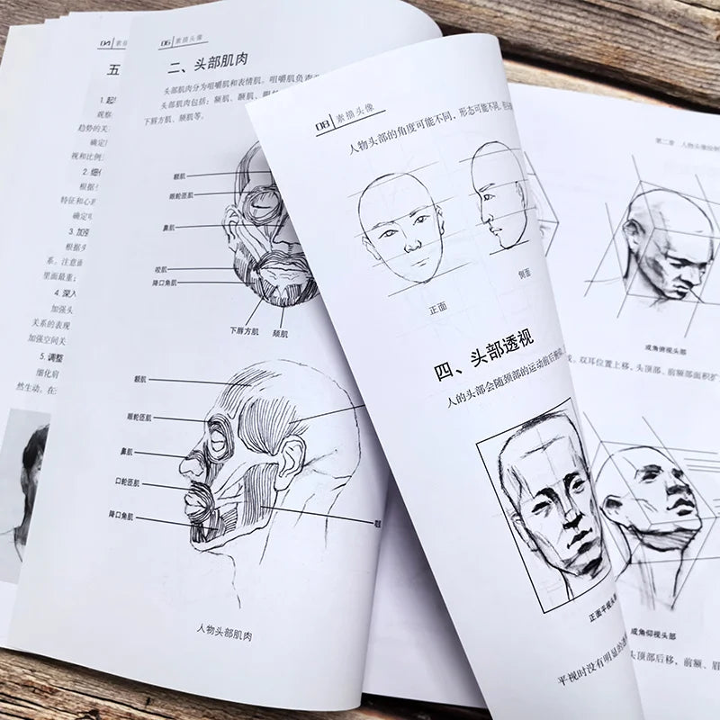 Beginner's Essential Portrait Sketching Tutorial Learn Basic Skills