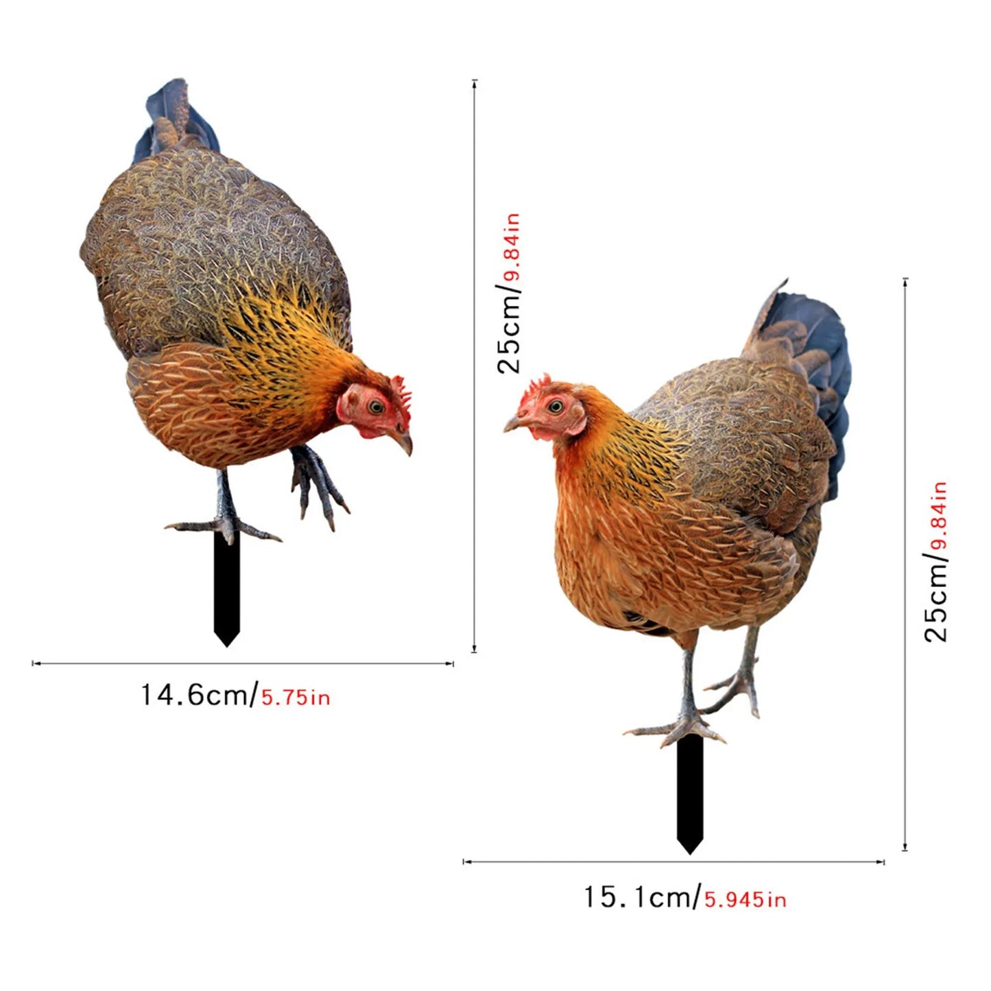 2D Flat Garden Statues Ornaments For Hen Chicken Decorations Sculptures Yard Art Outdoor Decorations Rooster Statue Art Deco Peaceful Pleasures Health and Wellness 2PCS One Size