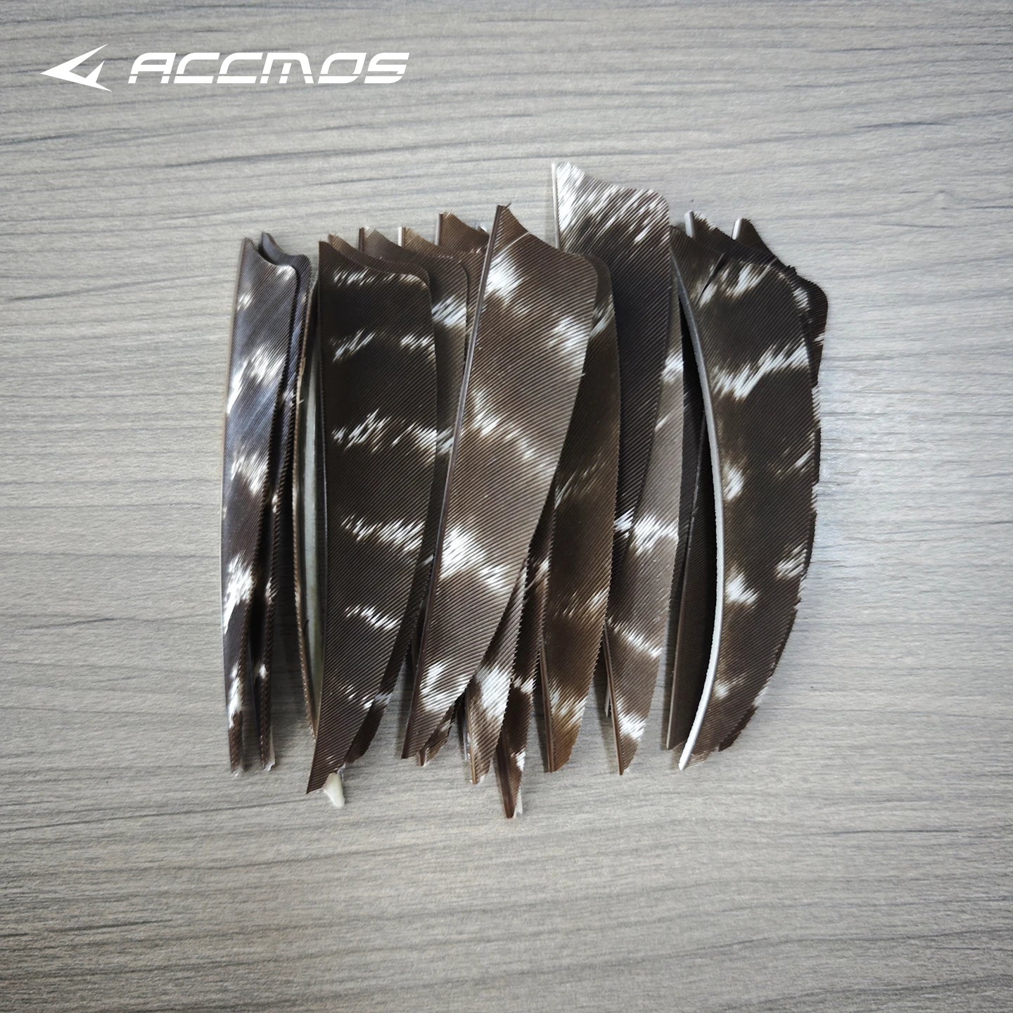 25 RW LW Natural Turkey Archery Arrow Feathers Shield 3 4 Fletching