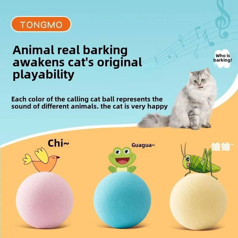 Interactive Electric Cat Toy – Catnip Ball & Squeaky Sound