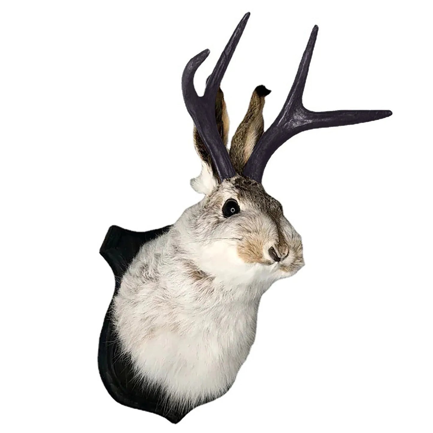 Easter Gift Bunny Head Antlers Wall Hanging Decoration Wall Decor Simulation Rabbit Specimen Resin Art Ornaments Jackalope Decor Peaceful Pleasures Health and Wellness
