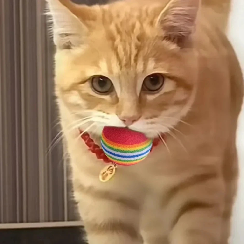 Rainbow EVA Soft Pet Toy Balls for Cats & Dogs | 10–50 Pack